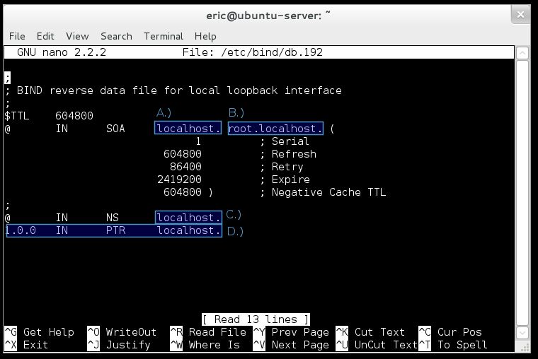 Default Bind9 Reverse file with stuff we need to change highlighted.
