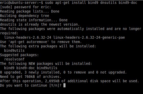 Enter Y to confirm Bind9 DNS server and DNS utilities